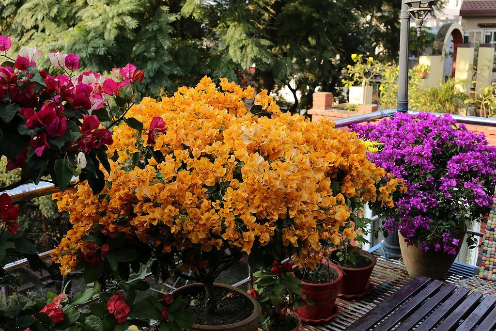 Shangrila Boutique Hotel Kathmandu Esterno foto